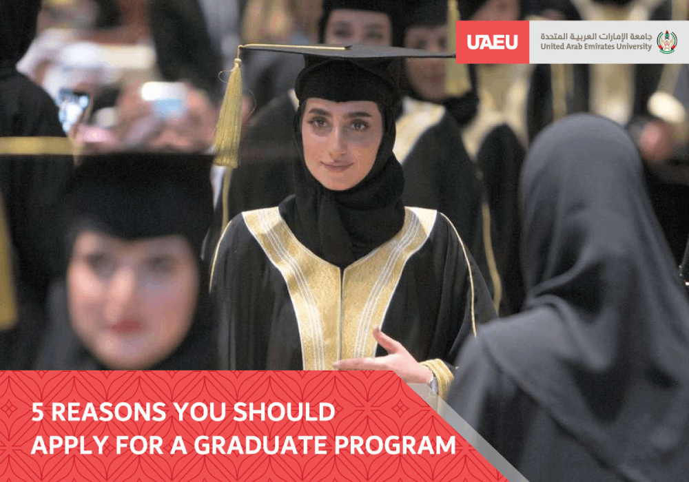 Reasons You Should Apply For Graduate Programs 