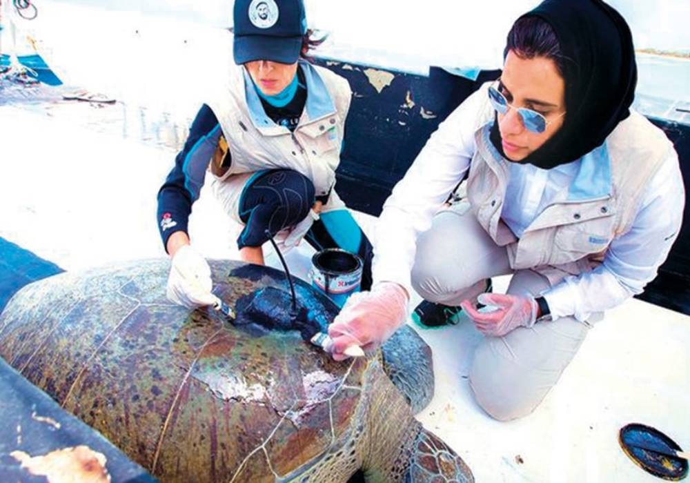 Maitha Al Hamli: My passion for nature prompted me to specialize in environmental work